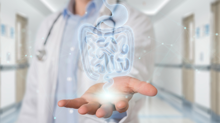 Irritable Bowel Syndrome Treatment Supporting Greater Daily Comfort and Stability