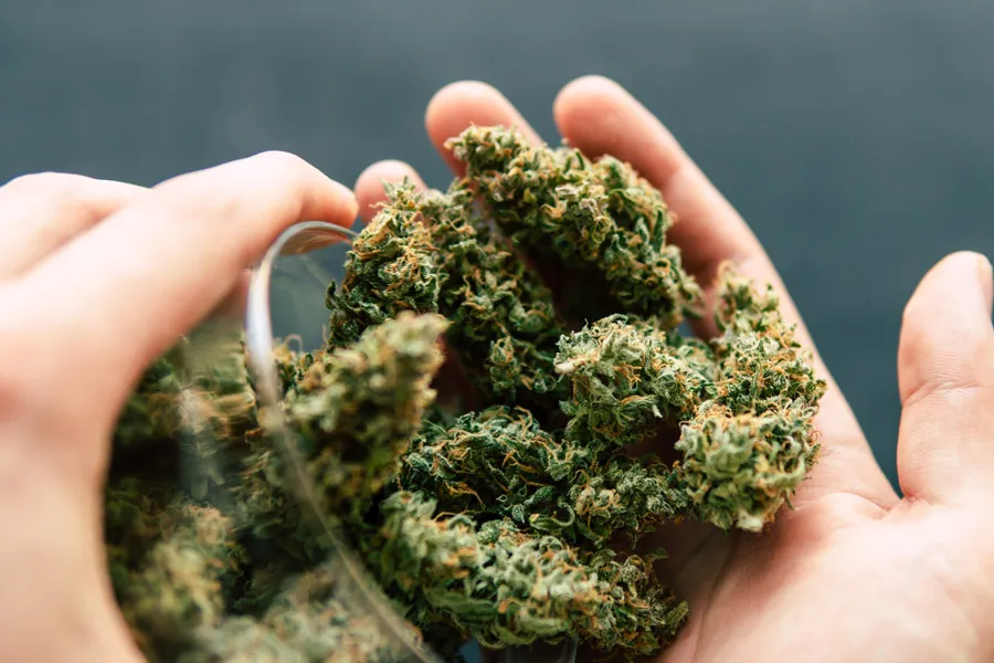 How THCA Testing Helps Reveal Product Potency And Quality Standards